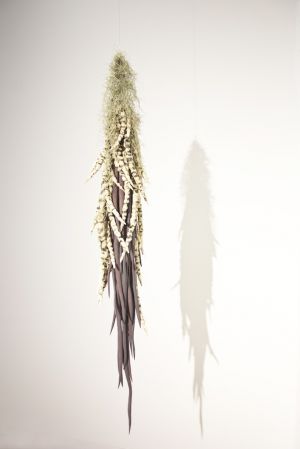 CWP-LindaS-16 copy.jpg